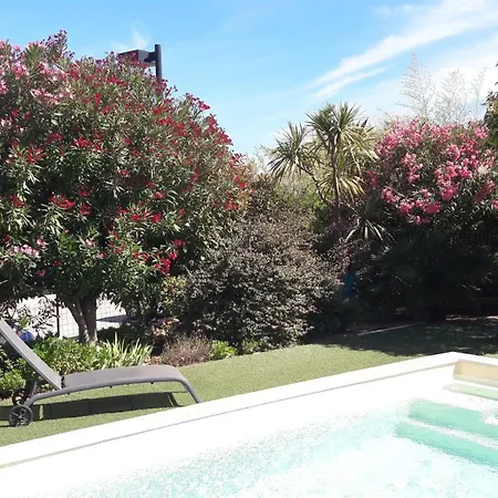 Citronnelle Six-Fours-les-Plages